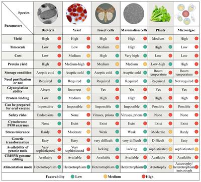 Microalgae: towards human health from urban areas to <mark class="highlighted">space missions</mark>